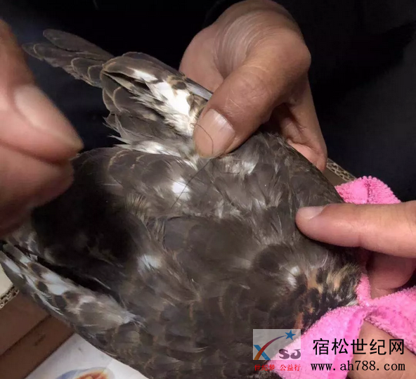 微信截图_20181118092332.png