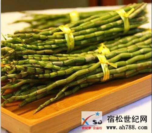 白崖寨石斛宿松直营店18日开业啦！ (4).jpg