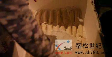 微信图片_20181121095209.jpg