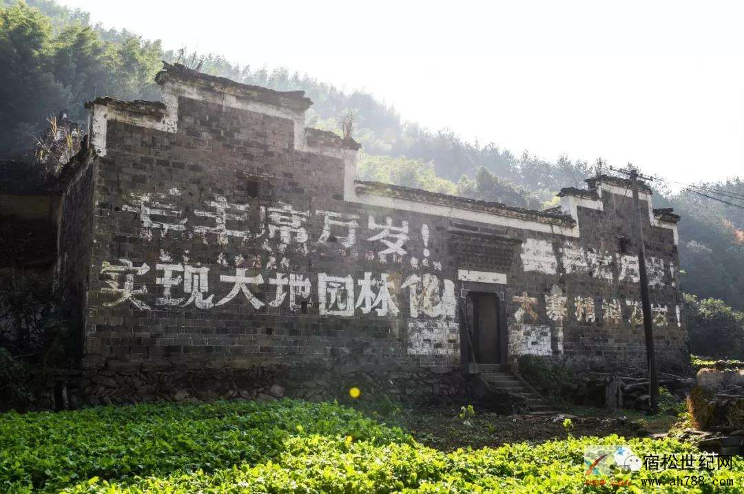 微信图片_20181125094215.jpg