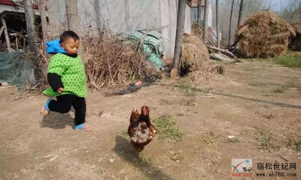 微信图片_20181125185559.jpg