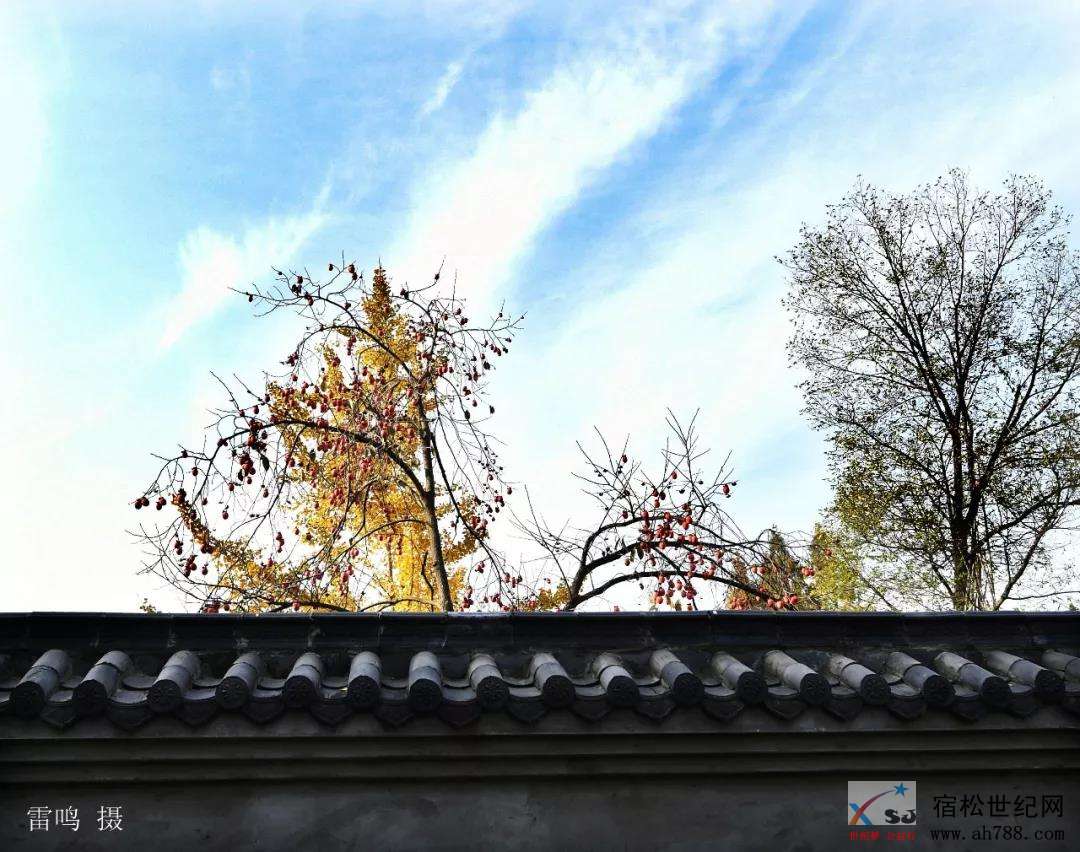 微信图片_20181127120704.jpg