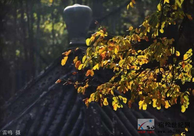 微信图片_20181127120745.jpg