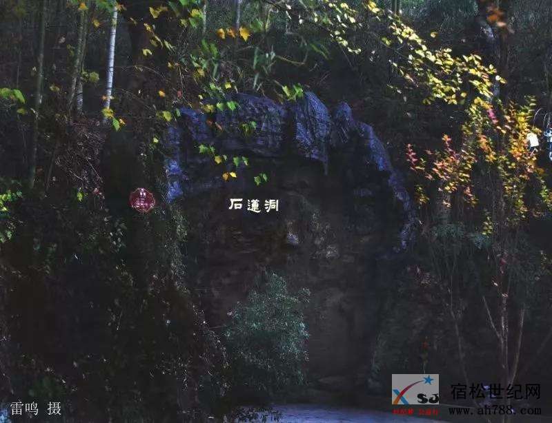 微信图片_20181127120904.jpg