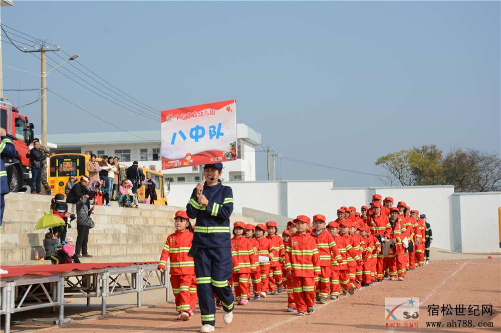宿松世纪网06.jpg