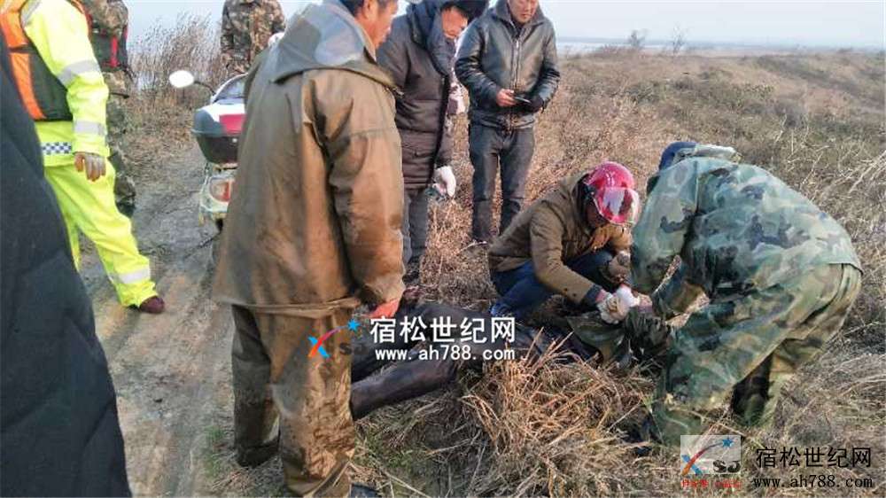 微信图片_20181214171016.jpg