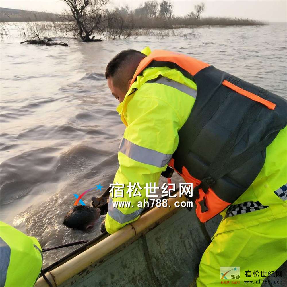 微信图片_20181214171032.jpg
