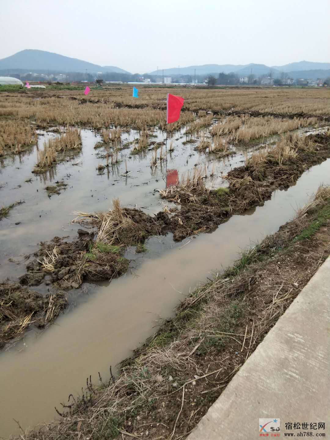 微信图片_20181228162955.jpg