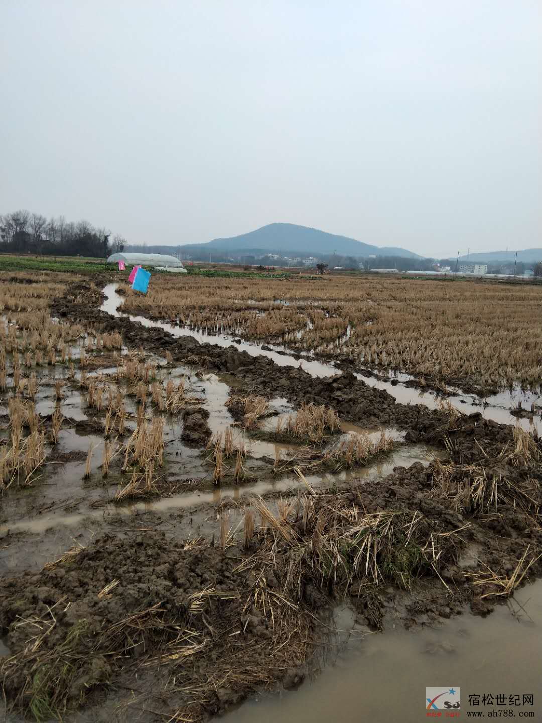 微信图片_20181228162948.jpg