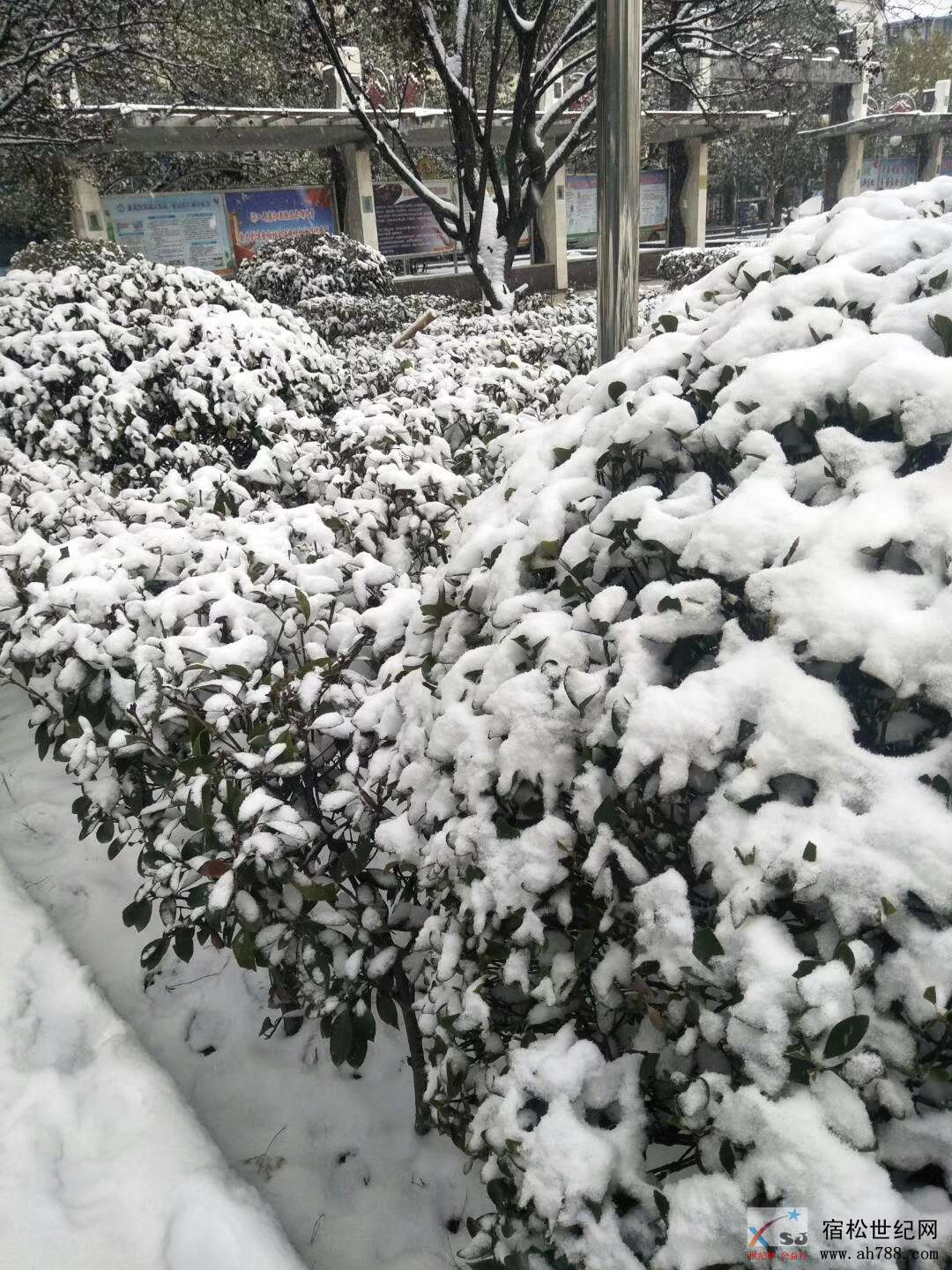 微信图片_20181230093108.jpg