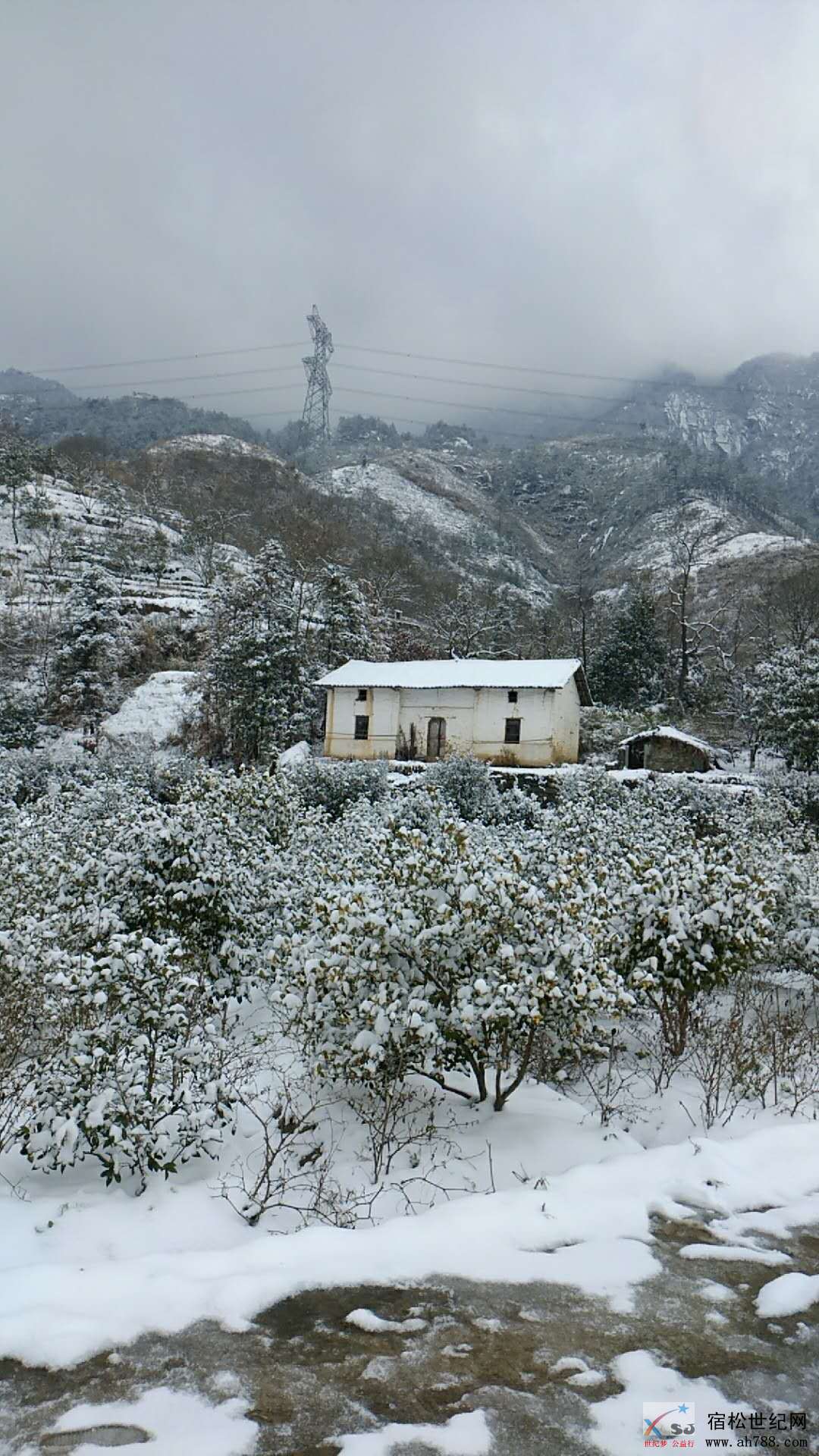 微信图片_20181230132112.jpg