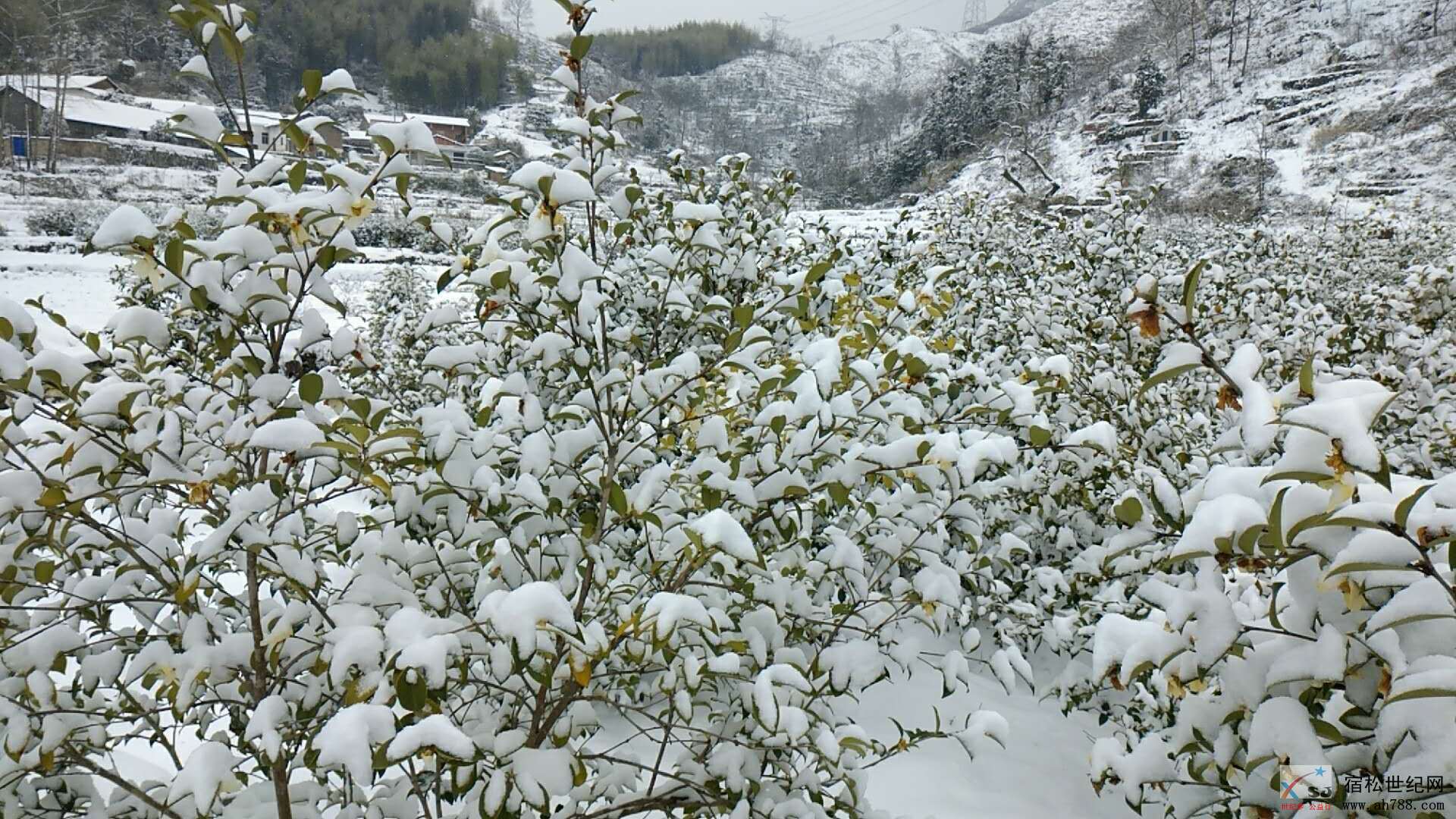 微信图片_20181230132116.jpg