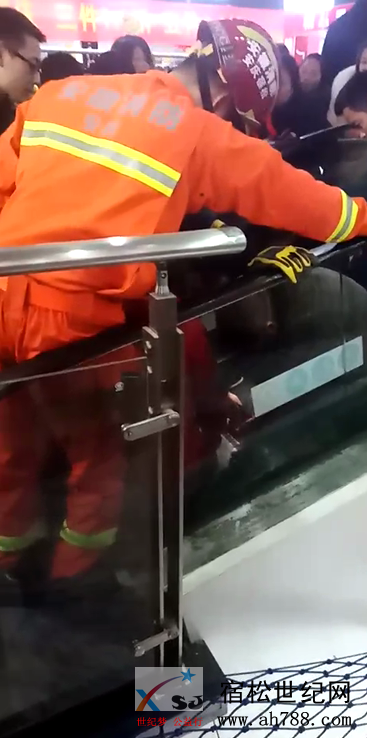 QQ截图20190101194352.png