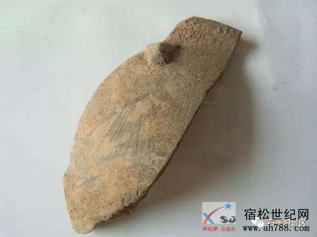 微信图片_20190102171730.jpg