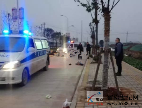 QQ截图20190103100858.png