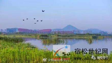 铜陵.jpg
