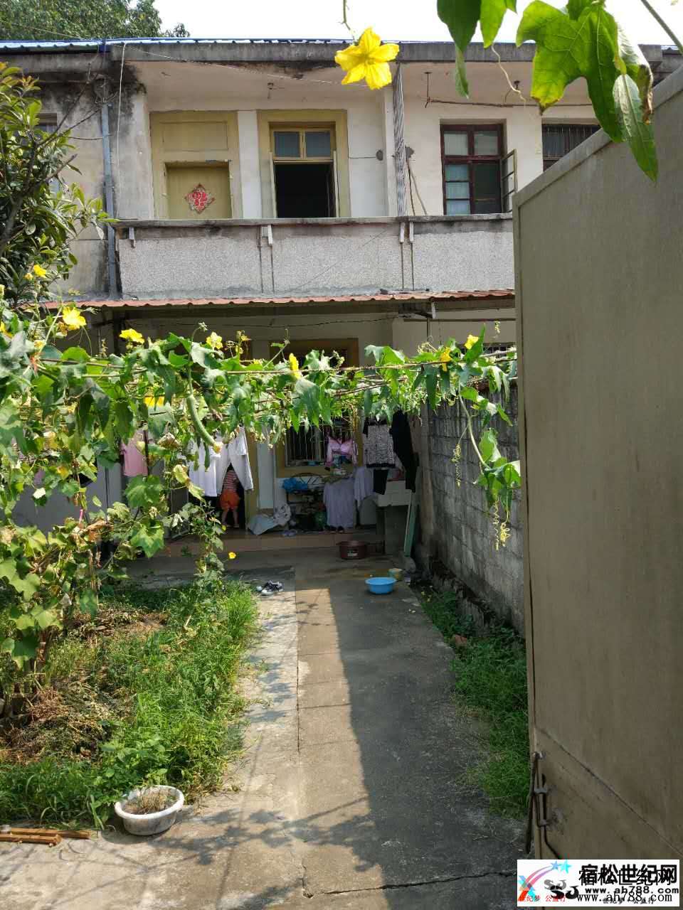 114008jzwktjjzs6lrt2c6.jpg