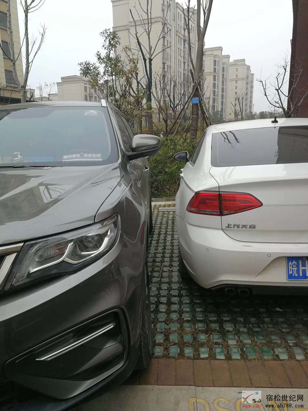 微信图片_20190129101159.jpg