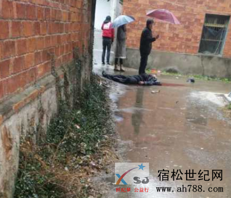 微信图片_20190203171237.png