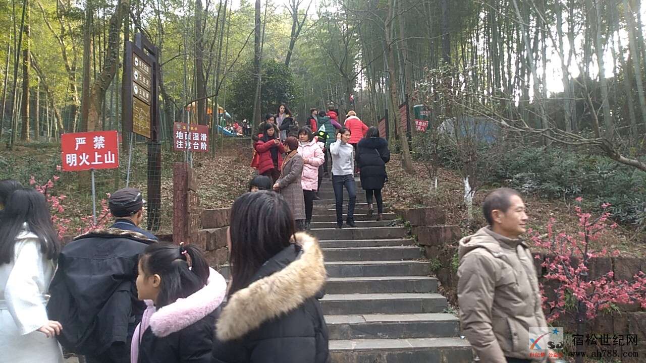 热闹的宿松石莲洞 (11).jpg