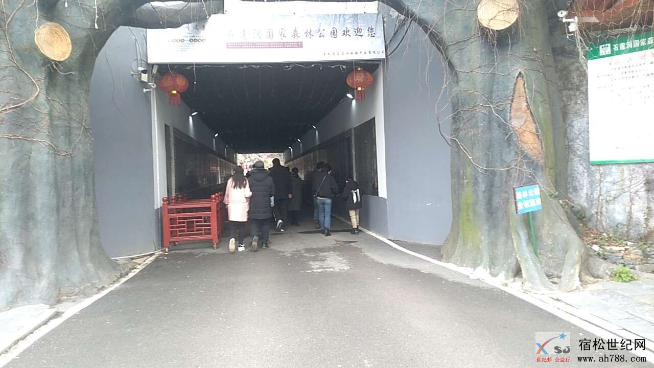 热闹的宿松石莲洞 (7).jpg