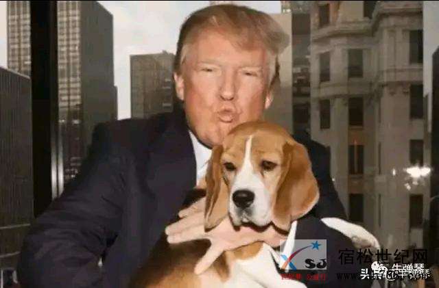 Xoeut8ARGFpk8sc9jtRWFO1tkPA.cnt.jpeg