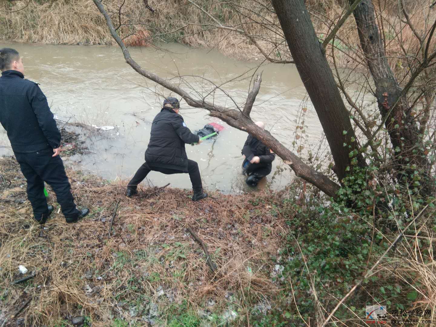微信图片_20190216104428.jpg