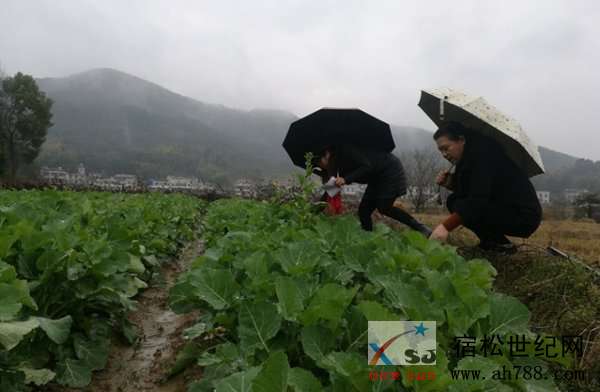 微信图片_20190222142509.jpg