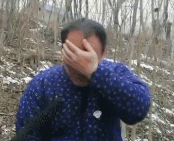 1·5.gif
