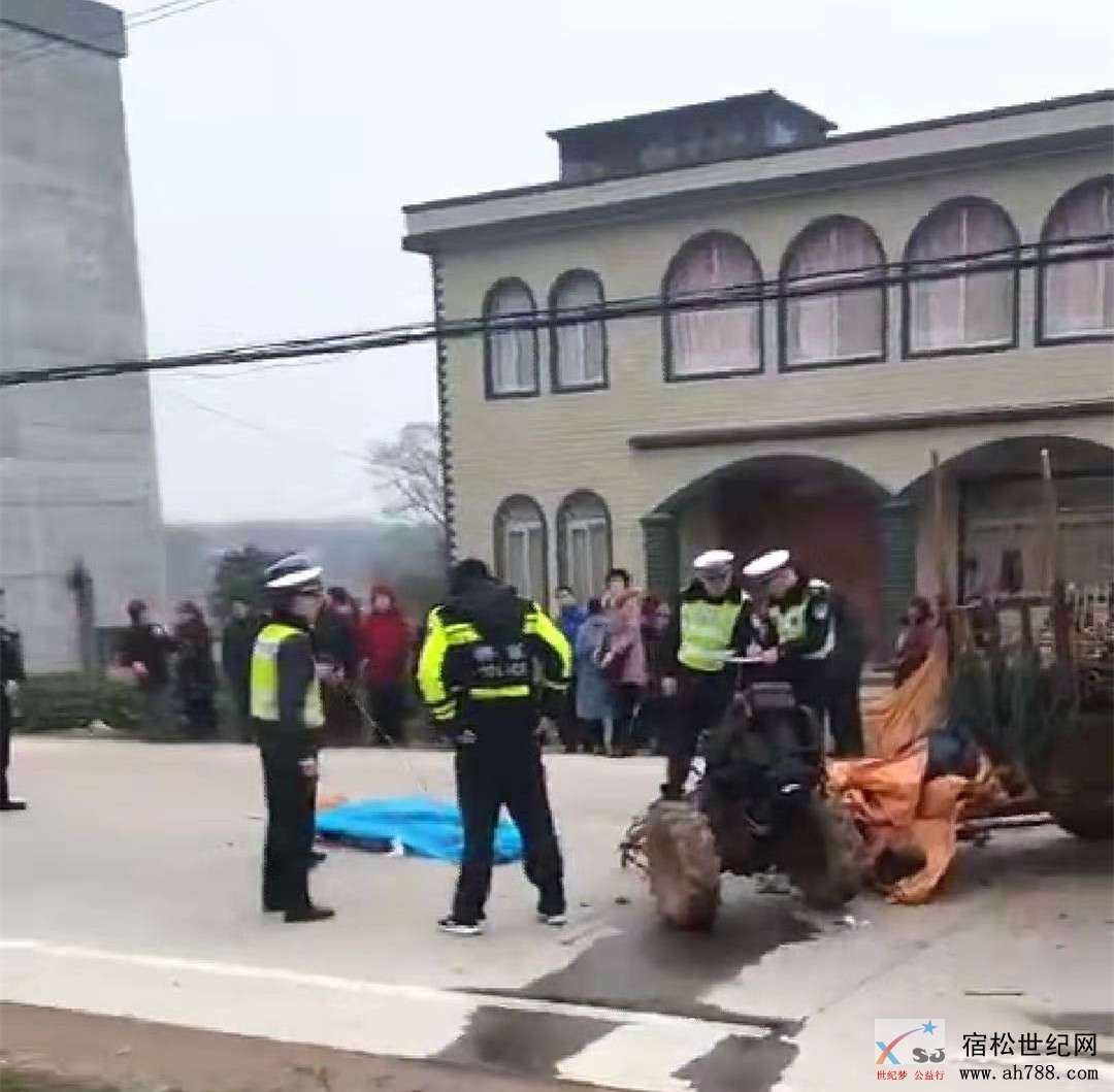 微信图片_20190226151952_副本.jpg