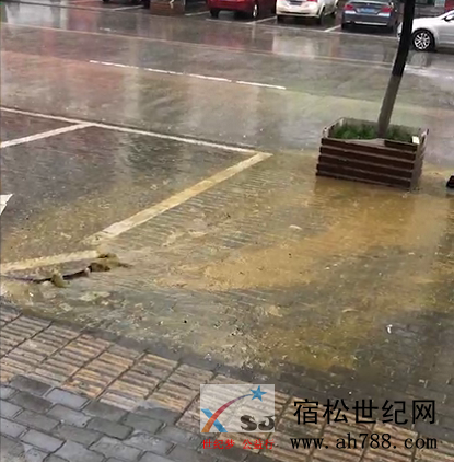 微信图片_20190227090445.jpg