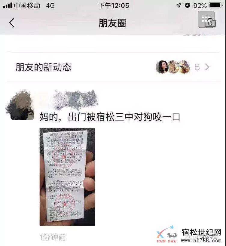 1·1.jpg