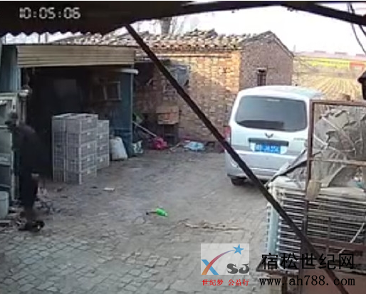 QQ截图20190302152832.png