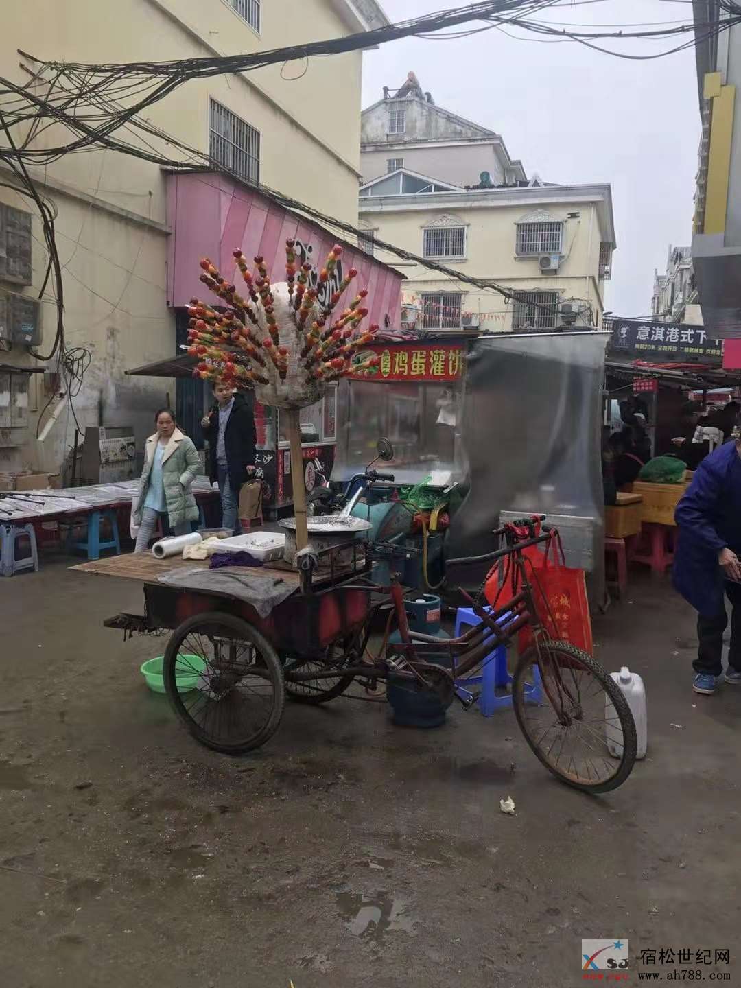 微信图片_20190303165120.jpg