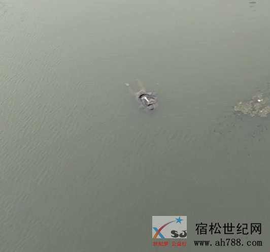 微信图片_20190313164420.jpg