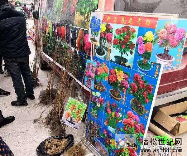 微信图片_20190314092935.jpg