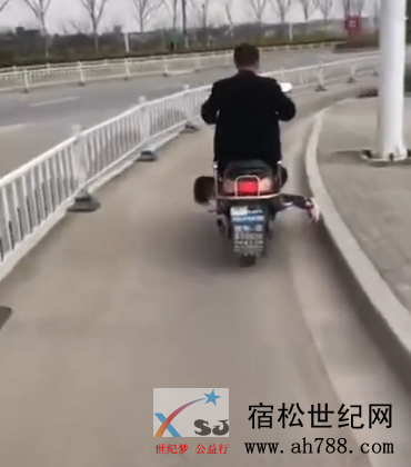 微信图片_20190315083244.png