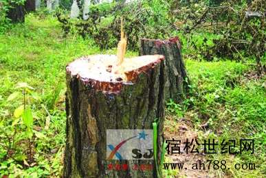 Img314707216_副本.jpg