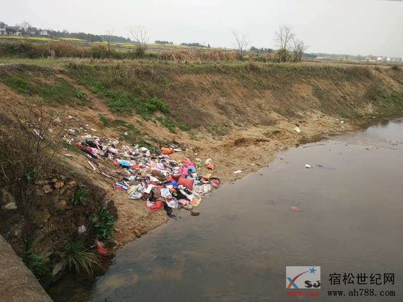 微信图片_20190329080437_副本.jpg