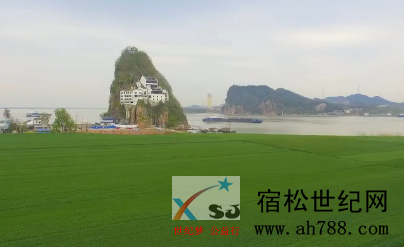 微信图片_20190331165832.png