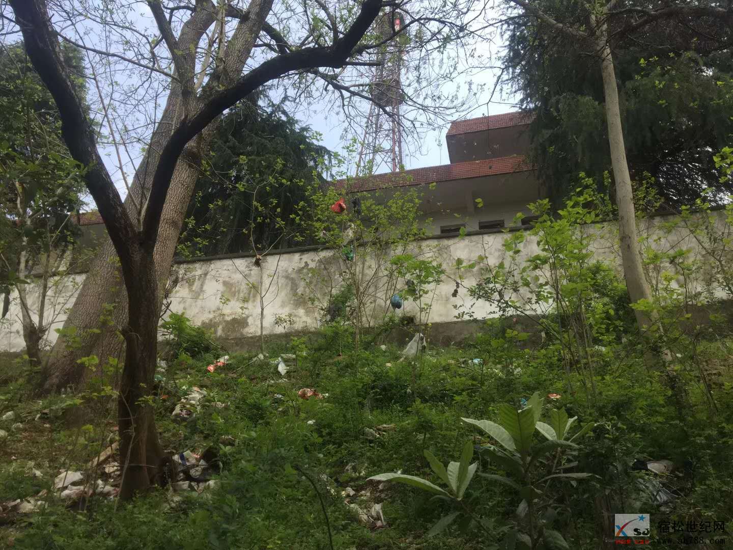 微信图片_20190405145357.jpg