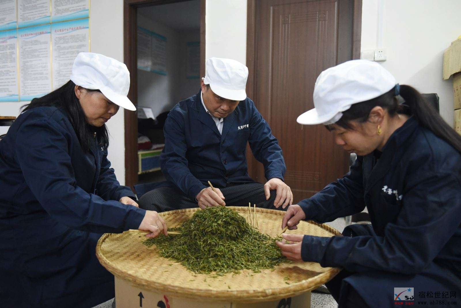 分拣.jpg