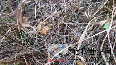 微信图片_20190412101626.jpg