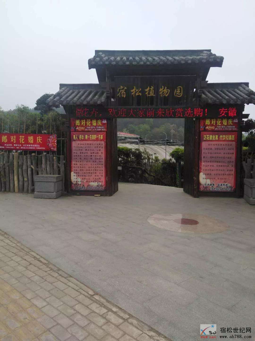 黄梅戏3.jpg
