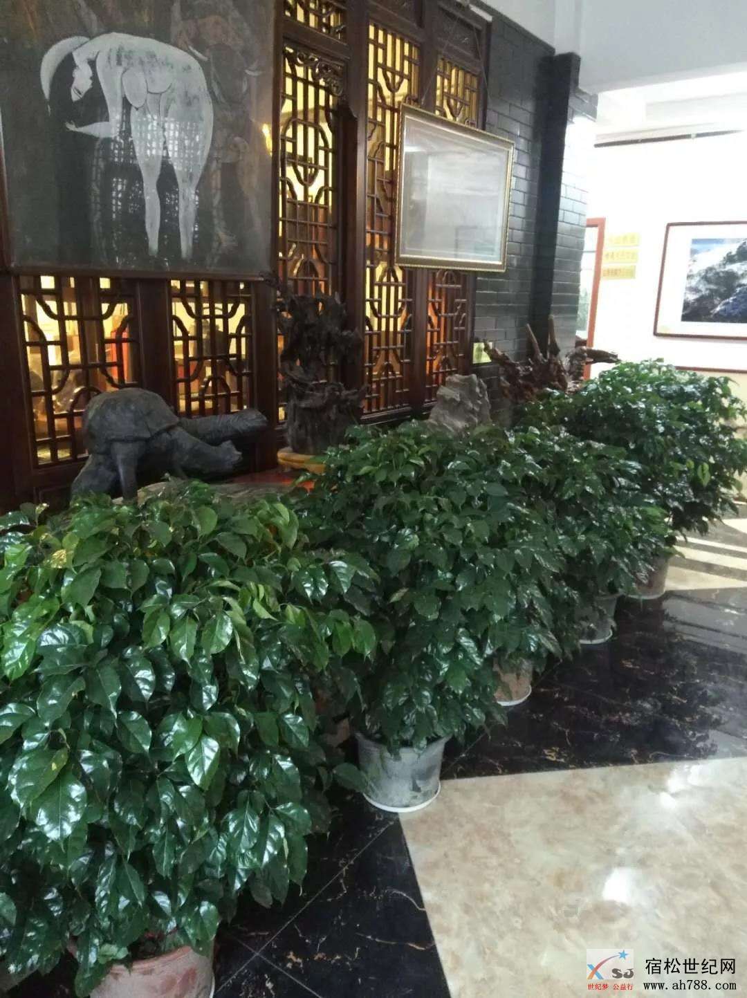 黄梅戏5.jpg
