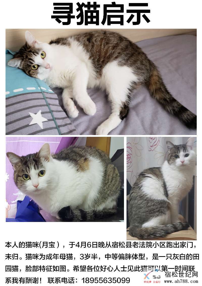 微信图片_20190427130559.jpg