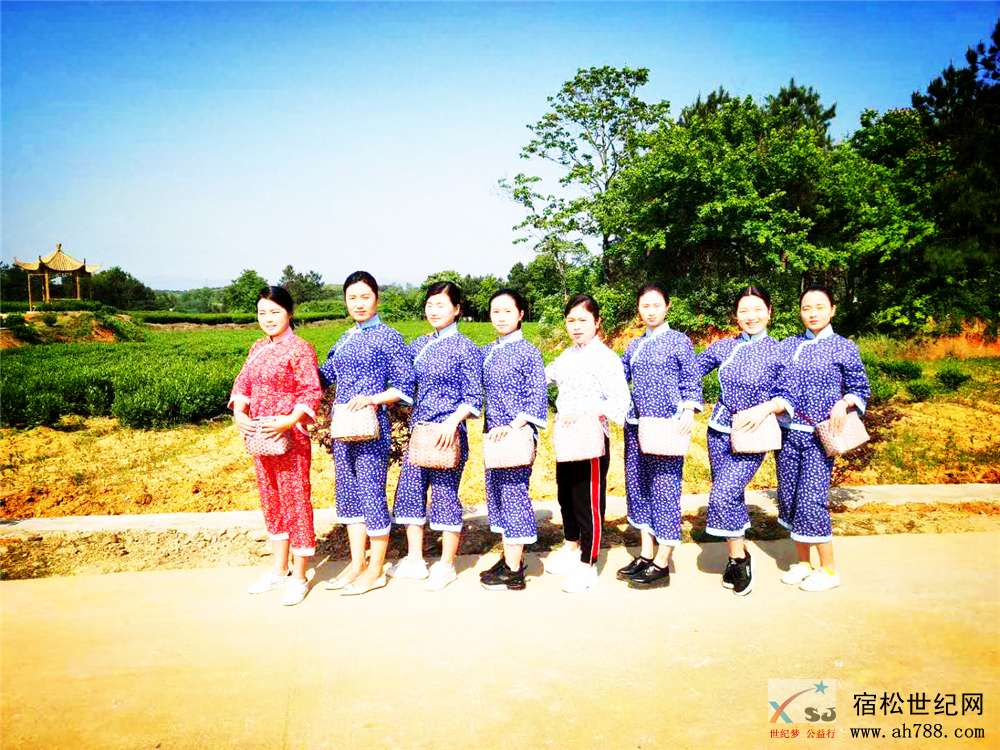 宿松世纪网采茶照10.jpg