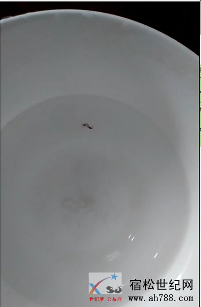 微信截图_20190512213152.png