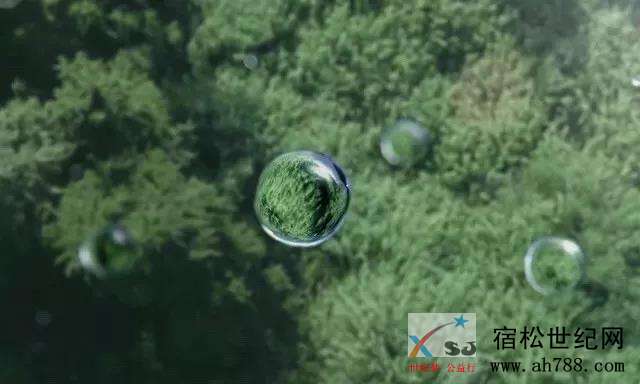 微信图片_20190515095451.jpg
