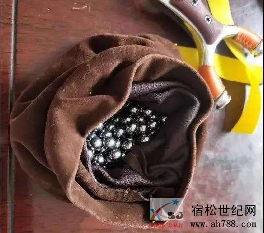 微信图片_20190517084216.jpg